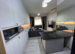 Oasis @ Elias (D18), Condominium #627510701